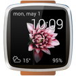 程序图标：Animated Watch Faces