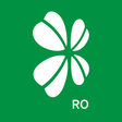 Programikonen: Garanti BBVA Romania