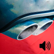 أيقونة البرنامج: Car Ringtones