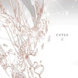 プログラムのアイコン：Cytus α