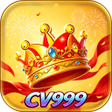 프로그램 아이콘: CV999 Frenzy CatchBerry