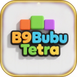 أيقونة البرنامج: B9Bubu Tetra