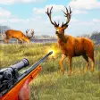 Deer Hunter 3D  Offline Games