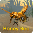 أيقونة البرنامج: Honey Bee Simulator