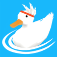 Programikon: Ducklings