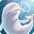 程序图标:Aquarium beluga simulatio…