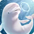 Aquarium beluga simulation