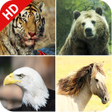 Symbol des Programms: 170 Animal Sounds