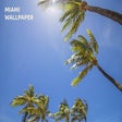 Programikonen: Miami Wallpaper
