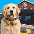 Ícone do programa: Animal Shelter: My Pet Do…