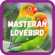 Programikonen: Masteran Lovebird Ngekek