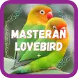 Masteran Lovebird Ngekek