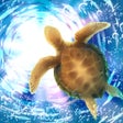 ไอคอนของโปรแกรม: Aquarium Sea Turtle simul…
