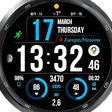 Programikonen: WFP 241 Exact time Watch …