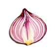 Ícone do programa: Onion Search Engine
