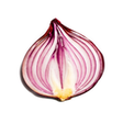 프로그램 아이콘: Onion Search Engine