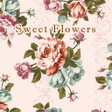 Icoon van programma: Sweet Flowers Wallpaper