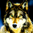 プログラムのアイコン：Neon Wolf Live Wallpaper