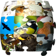 程序图标：Ornithopedia Europe