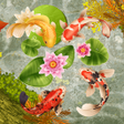 Icoon van programma: Synthesize Multiple Carp