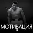 Иконка программы: МОТИВАЦИЯ ЦИТАТЫ ФРАЗЫ УМ…