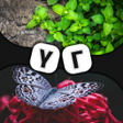 Programikonen: 2 зураг 1 үг - үг тоглоом
