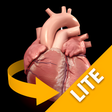 Programın simgesi: Heart - 3D Atlas of Anato…