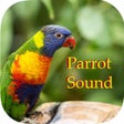 Icoon van programma: Parrot Sounds - CockatooC…