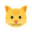 Иконка программы: Cattify