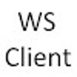Ícone do programa: Web Socket Client