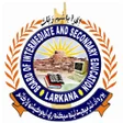 Programikonen: BISE Larkana