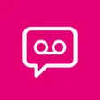 程序图标：Visual Voicemail by Metro…