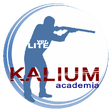 Icon of program: Licencia de Armas
