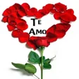 程序图标：Rosas de Amor con Frases