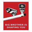 프로그램 아이콘: Big Brother Is Shaping Yo…