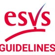 Icon of program: ESVS Clinical Guidelines