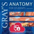 Grays Anatomy Audio Hot Spots