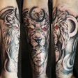 程序图标：Lion Tattoo