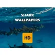 shark Wallpaper HD New Tab Theme