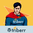 程序图标：Triberr