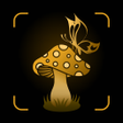 プログラムのアイコン：Plant Bug Fungus -Identif…