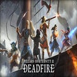 Icon of program: Pillars of Eternity II: D…