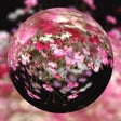 Ícone do programa: Marble Magick