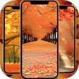 Programikonen: Fall Wallpaper 4K