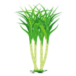 Programikonen: UK Cane App