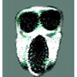 Icon of program: Survive Ambush and Rush f…
