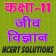 11th class biology (जीव विज्ञान) solution in hindi