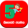 Programikon: Grade 5