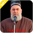 Programikon: Hoji Mirzo