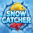 Ícone do programa: Snow Catcher